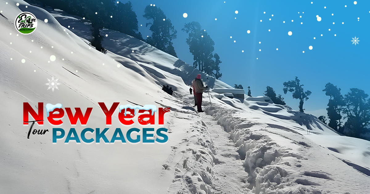 New Year trip packages